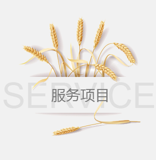 开云网页版界面·开云（中国）